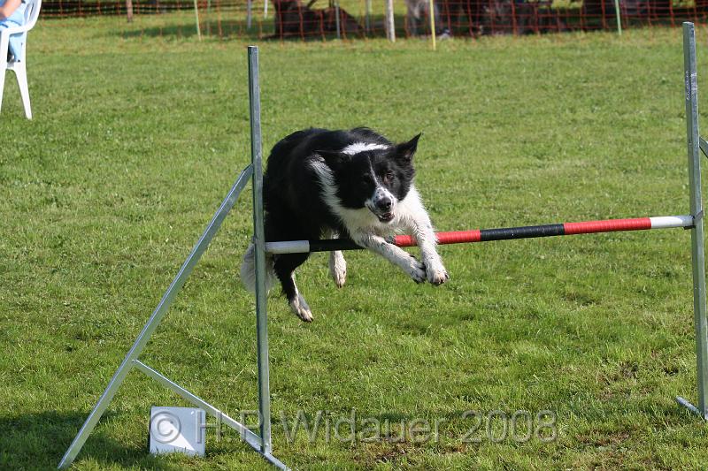 jubil.lusten. 098.jpg